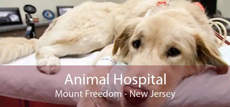 Animal Hospital Mount Freedom - New Jersey