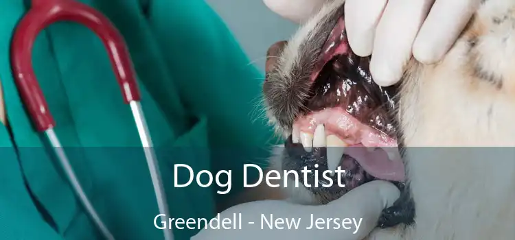 Dog Dentist Greendell - New Jersey