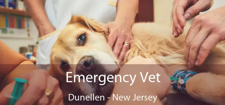 Emergency Vet Dunellen - New Jersey