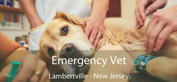 Emergency Vet Lambertville - New Jersey