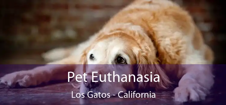 Pet Euthanasia Los Gatos - California