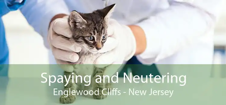 Spaying and Neutering Englewood Cliffs - New Jersey