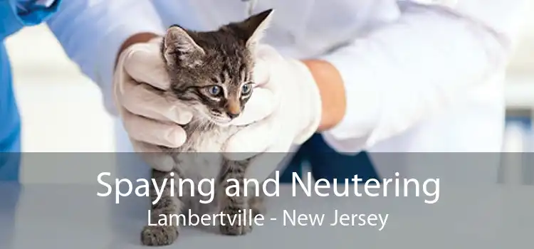 Spaying and Neutering Lambertville - New Jersey