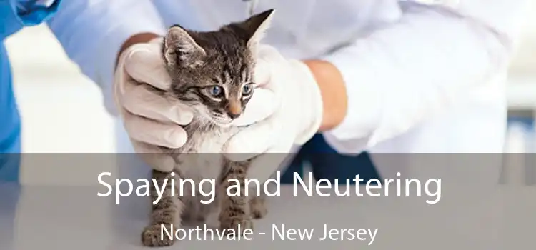 Spaying and Neutering Northvale - New Jersey