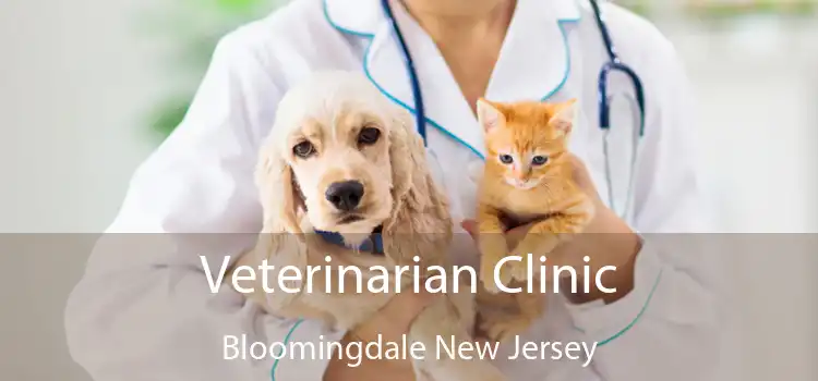 Veterinarian Clinic Bloomingdale New Jersey