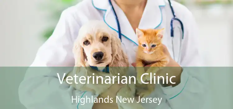 Veterinarian Clinic Highlands New Jersey